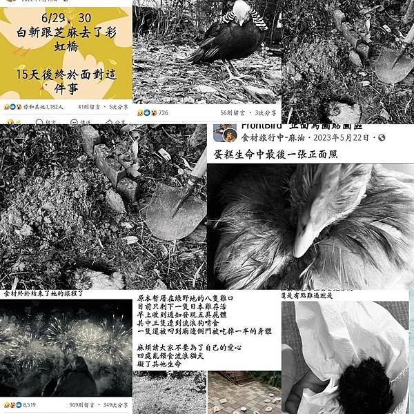 無良飼主吳承圃-死亡名單.jpg 無良飼主吳承圃-死亡名單.jpg