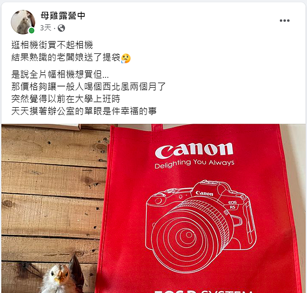 麻油繼承者上工啦!母雞露營中-蒜皮 麻油繼承者上工啦!母雞露營中-蒜皮