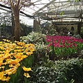 DSCF5839.jpg