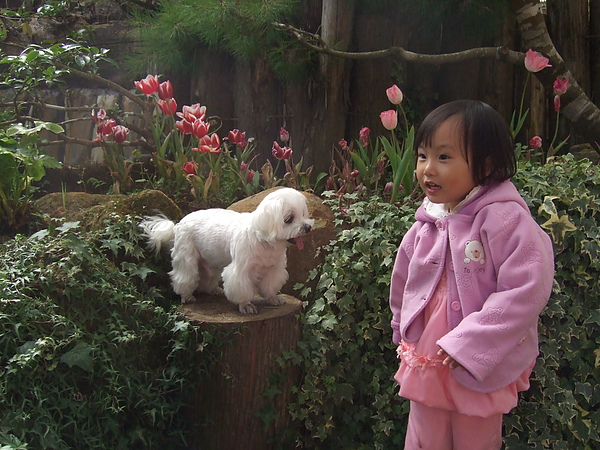 DSCF5858.jpg