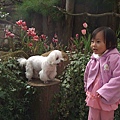 DSCF5858.jpg