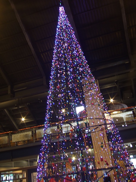 DSCF5901.jpg