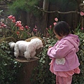 DSCF5859.jpg