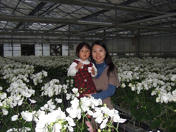 DSCF5906.jpg