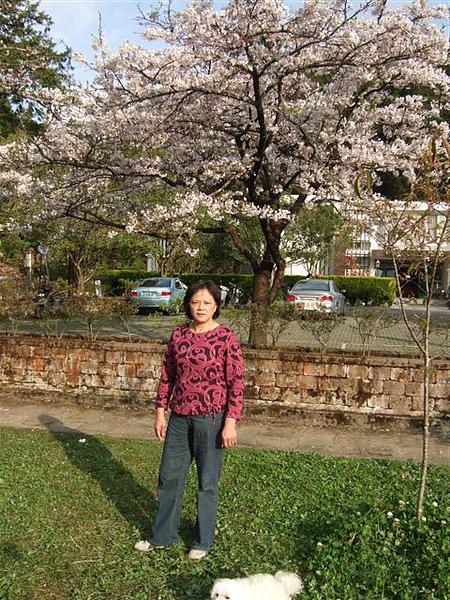 0315-10(2010).jpg