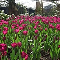 DSCF5843.jpg