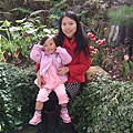 DSCF5856.jpg