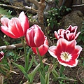 DSCF5852.jpg