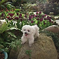 DSCF5848.jpg