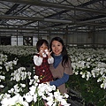 DSCF5907.jpg
