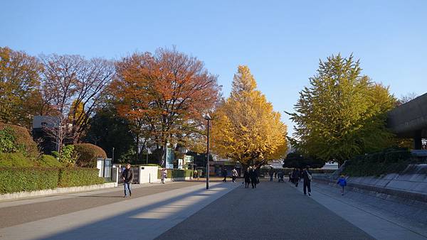 DSC00766.JPG