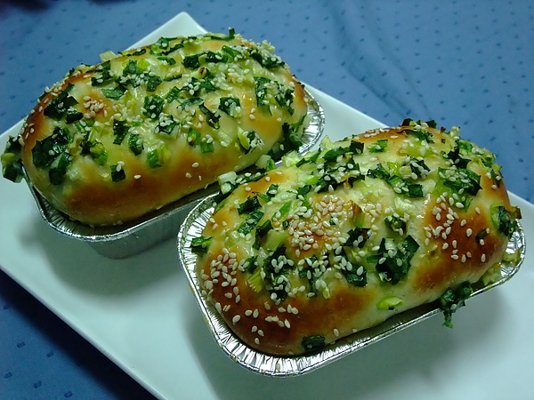 2010.06.10櫻花蝦的胖 2010.06.10櫻花蝦的胖