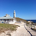 rottnest island (8).jpg