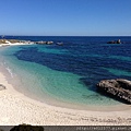 rottnest island (15).jpg