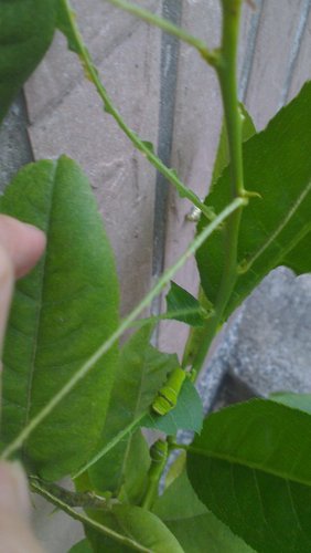 2013-07-08 19.34.31.jpg