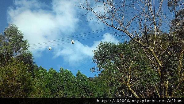 12295469_971029592984185_7701968800751346918_n