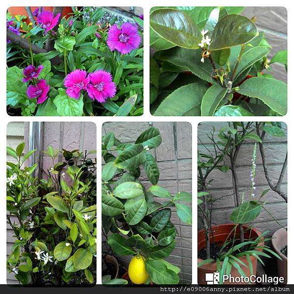 2016-04-07 18.29.01 2016-04-07 18.29.01