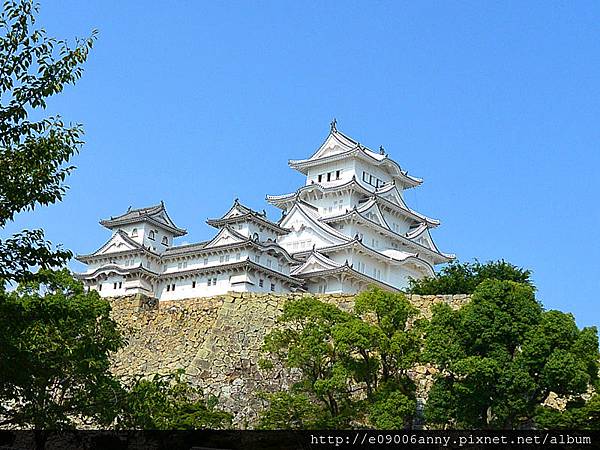 DSC_2017_副本_副本