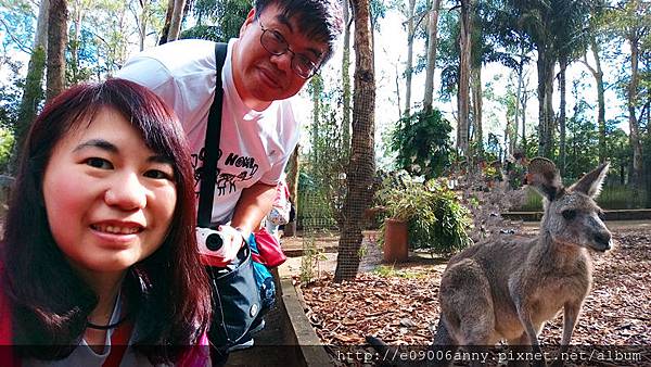 2018-03-03 09.52.38_副本 2018-03-03 09.52.38_副本