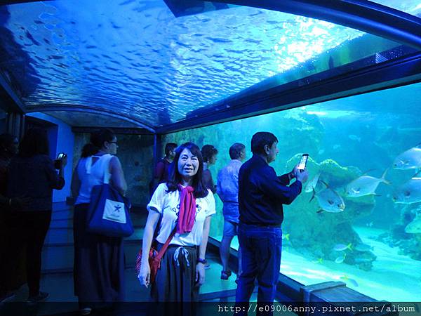 DSCN1032_副本 DSCN1032_副本