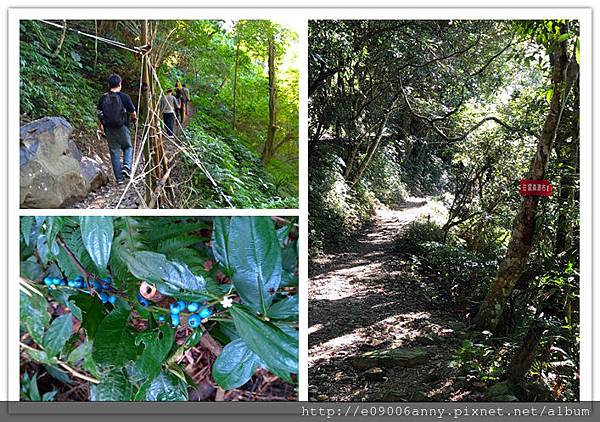 2018-12-01 09.57.35_副本