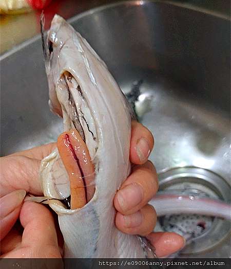 香煎白帶魚的技巧與訣竅 基隆現撈白帶魚 新鮮美味的料理上菜囉 郁映老師的部落格 甜蜜cd家 痞客邦