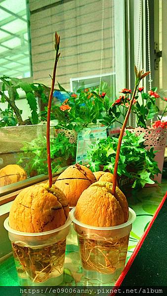 2019-11-10 10.27.23_副本.jpg