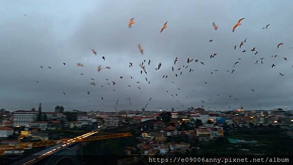 2020-01-29 葡萄牙D3-3-4賽拉皮拉爾修道院眺望美景 (13).jpg