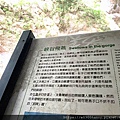 甜蜜CD家到太魯閣、燕子口、合流露營地、天祥吃明山餐廳午餐 (25).jpg