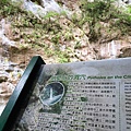 甜蜜CD家到太魯閣、燕子口、合流露營地、天祥吃明山餐廳午餐 (26).jpg