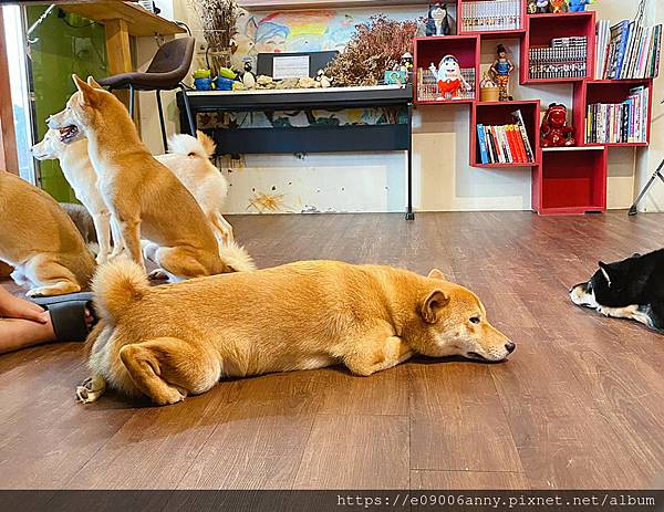 甜蜜CD家到宜蘭礁溪住美洲溫泉商旅 (20).jpg 甜蜜CD家到宜蘭礁溪住美洲溫泉商旅 (20).jpg