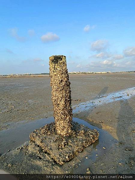 甜蜜CD家在金門，傍晚去建功嶼、牛家莊吃晚餐、到莒光樓參觀…回民宿 (19).jpg