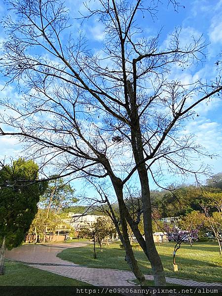 甜蜜CD家到桃園龍潭.大溪阿姆坪 (34).jpg