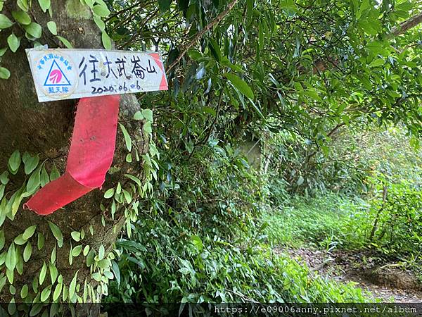 甜蜜CD家大武崙砲台小百岳 (18).jpg