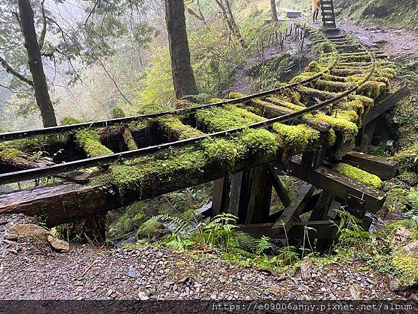 111.12甜蜜CD家參加國旅到太平山.鳩之澤.見晴古道 (3).jpg