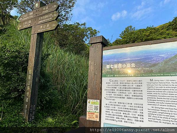 11206甜蜜CD家去七星山小百岳.七星東峰和主峰 (21).jpg