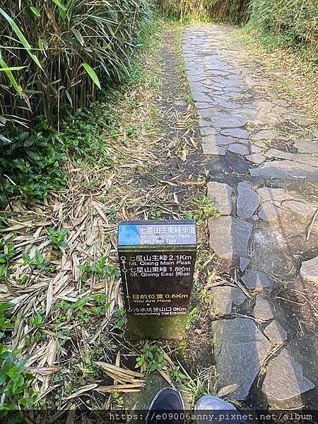 11206甜蜜CD家去七星山小百岳.七星東峰和主峰 (33).jpg 11206甜蜜CD家去七星山小百岳.七星東峰和主峰 (33).jpg