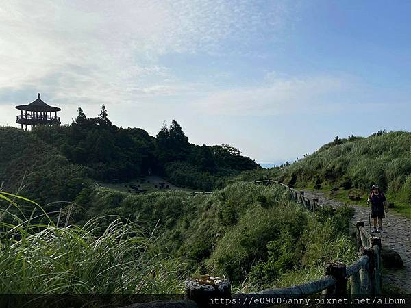 11206甜蜜CD家去七星山小百岳.七星東峰和主峰 (34).jpg