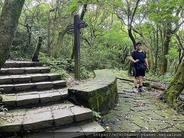 11206甜蜜CD家去七星山小百岳.七星東峰和主峰 (66).jpg 11206甜蜜CD家去七星山小百岳.七星東峰和主峰 (66).jpg