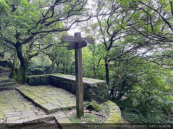 11206甜蜜CD家去七星山小百岳.七星東峰和主峰 (67).jpg