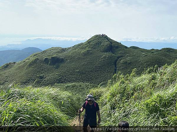 11206甜蜜CD家去七星山小百岳.七星東峰和主峰 (75).jpg