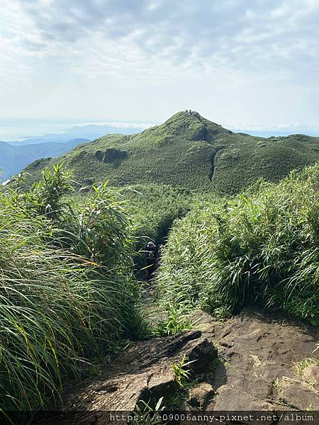 11206甜蜜CD家去七星山小百岳.七星東峰和主峰 (74).jpg