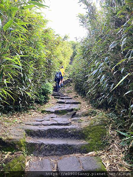 11206甜蜜CD家去七星山小百岳.七星東峰和主峰 (77).jpg