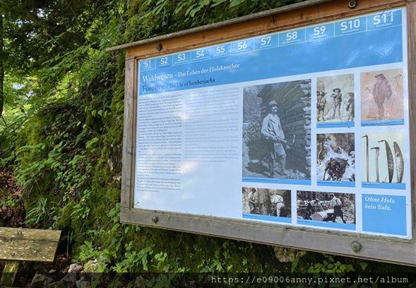 甜蜜CD家奧捷斯匈之旅2023-08-02-15h24m10Day3--3哈修塔特登山觀景台Skywalk Welterbeblick.jpg