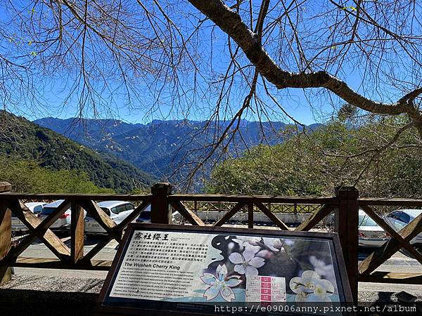 甜蜜CD家到觀霧山莊一泊二食11211 (23).jpg