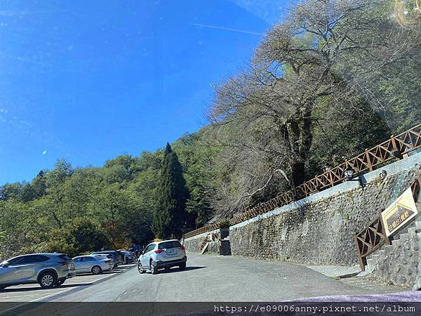 甜蜜CD家到觀霧山莊一泊二食11211 (24).jpg