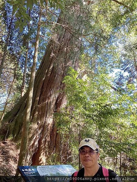 甜蜜CD家到觀霧國家公園(蜜月步道+檜山巨木)遊客中心.山椒魚112 (17).jpg