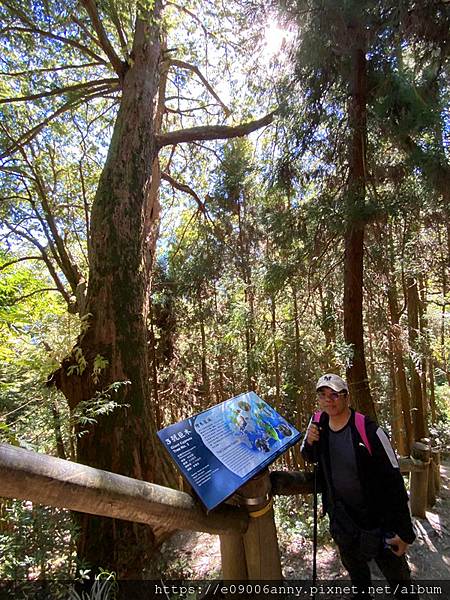 甜蜜CD家到觀霧國家公園(蜜月步道+檜山巨木)遊客中心.山椒魚112 (18).jpg