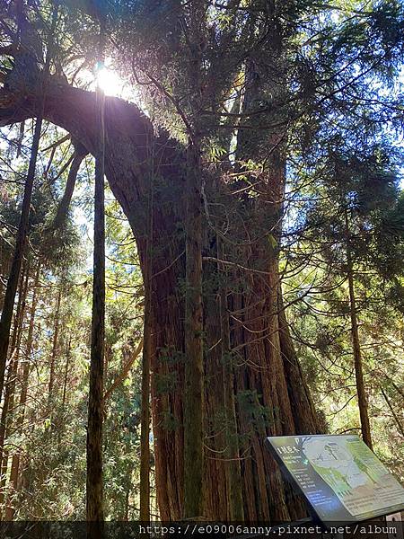 甜蜜CD家到觀霧國家公園(蜜月步道+檜山巨木)遊客中心.山椒魚112 (19).jpg