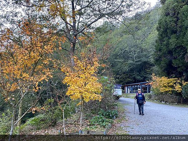 甜蜜CD家到觀霧國家公園(蜜月步道+檜山巨木)遊客中心.山椒魚112 (28).jpg